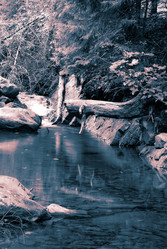 Similar image 1213267