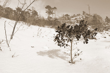 Similar image 1213294