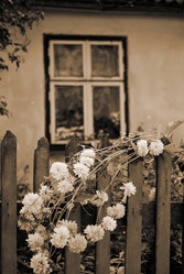 Similar image 1213298