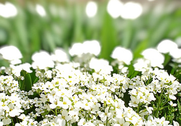 Similar image 1213390