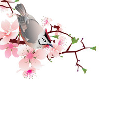 Similar image 1213431