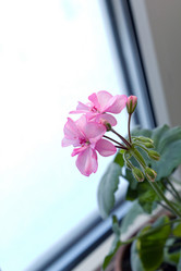 Similar image 1213470