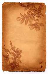 Similar image 1213564