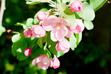 Similar image 1213567