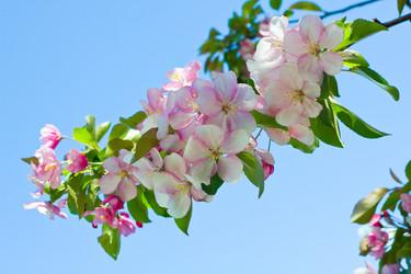 Similar image 1213578