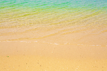 Similar image 1213857