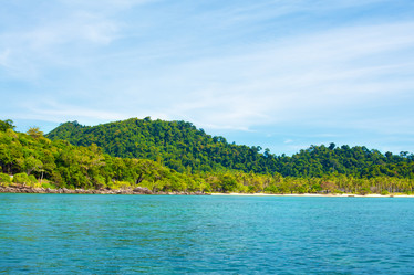 Similar image 1213863