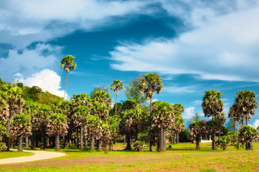 Similar image 1213883