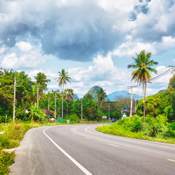 Similar image 1213930