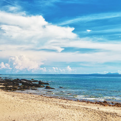 Similar image 1213939