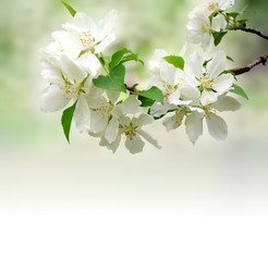 Similar image 1213964