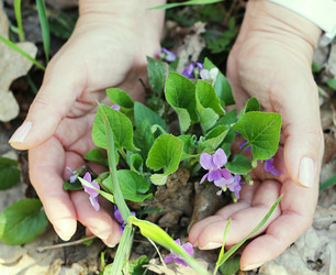 Similar image 1213966