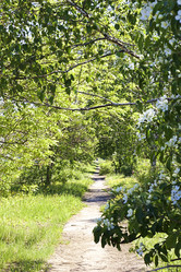 Similar image 1213970