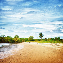 Similar image 1214139