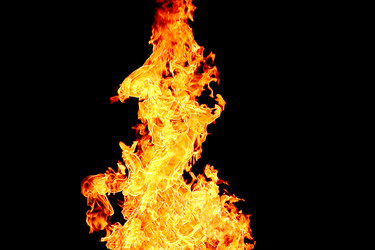 Similar image 1214147