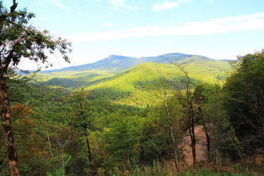 Similar image 1214175