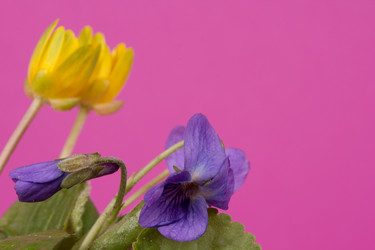 Similar image 1214188