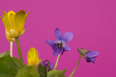 Similar image 1214189