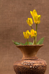 Similar image 1214195