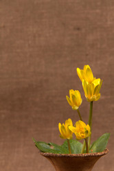 Similar image 1214196