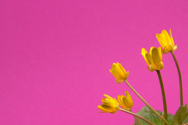 Similar image 1214197