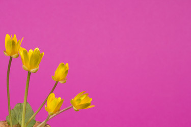 Similar image 1214206