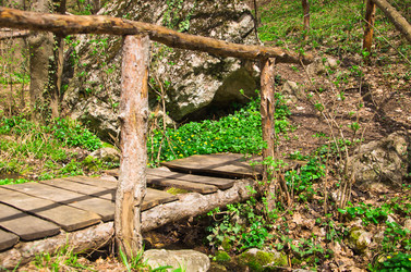 Similar image 1214259