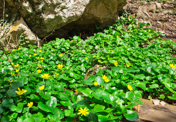 Similar image 1214260