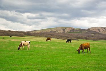 Similar image 1214263