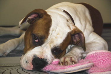 Similar image 1214347