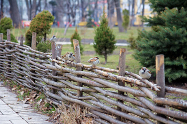 Similar image 1214375