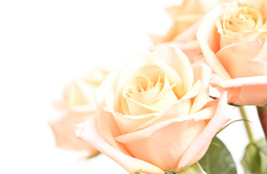 Similar image 1214519