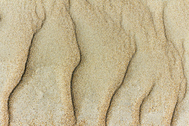 Similar image 1214532