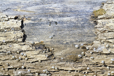 Similar image 1214535