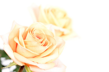 Similar image 1214539