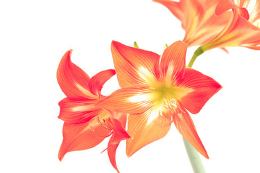 Similar image 1214540