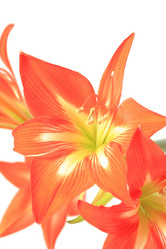 Similar image 1214541