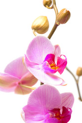 Similar image 1214542