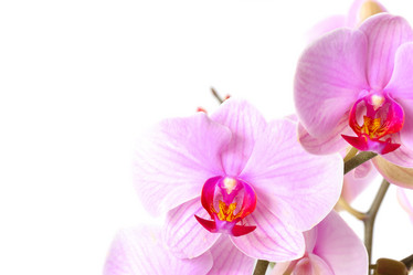 Similar image 1214543