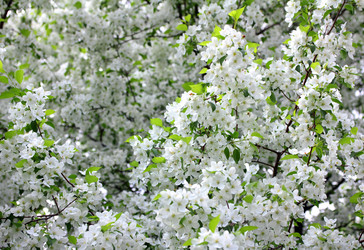 Similar image 1214596