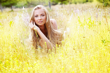 Similar image 1214636