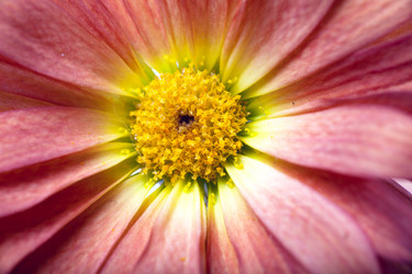 Similar image 1214679