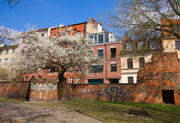 Similar image 1214701