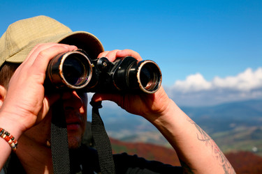 Similar image 1214759