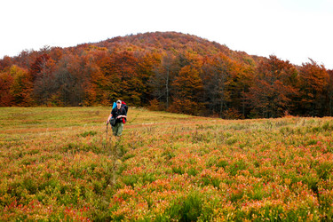 Similar image 1214772