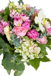 Similar image 1214841