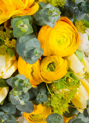 Similar image 1214844