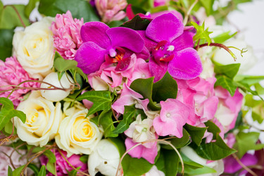 Similar image 1214847