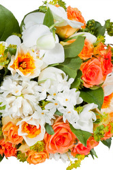 Similar image 1214855