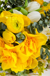 Similar image 1214857